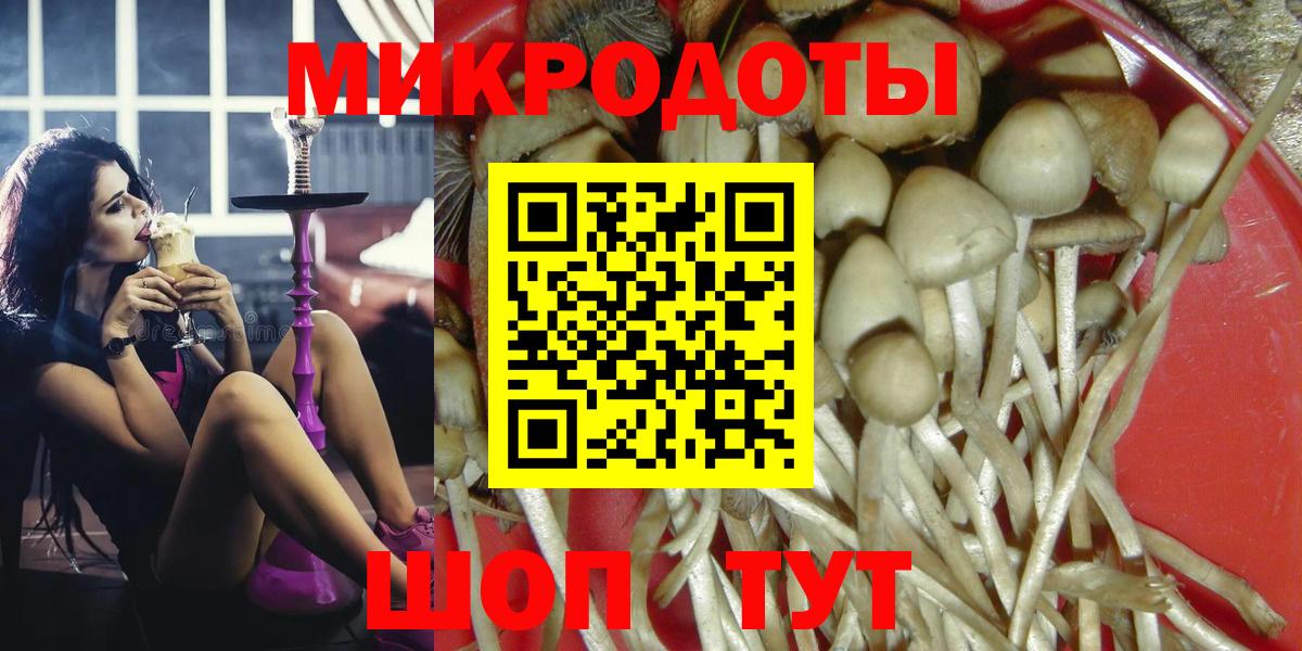 Гатчина  где купить наркоту  Вход с VPN  Галлюциногенные грибы ЛСД 