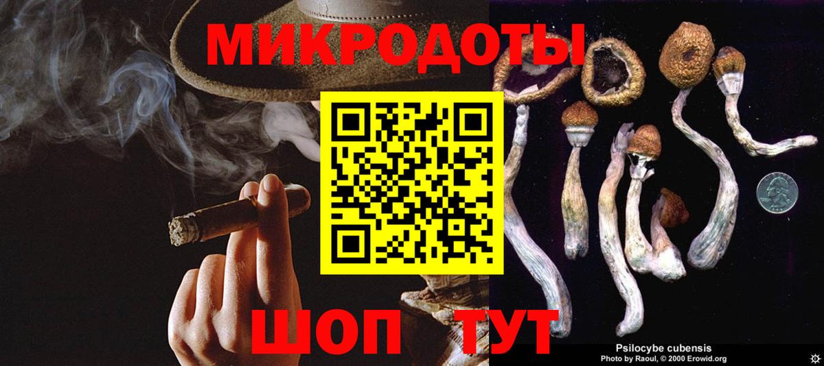 Галлюциногенные грибы Magic Shrooms Гатчина